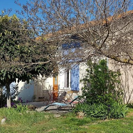 Petite Maison Refaite A Neuf Dans Mas Du 19Eme Siecle 阿爾勒 外观 照片