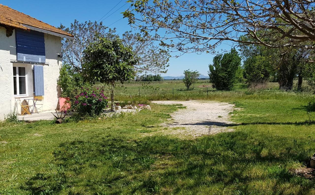 Petite Maison Refaite A Neuf Dans Mas Du 19Eme Siecle 阿爾勒 外观 照片