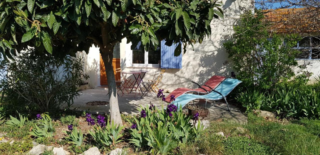 Petite Maison Refaite A Neuf Dans Mas Du 19Eme Siecle 阿爾勒 外观 照片