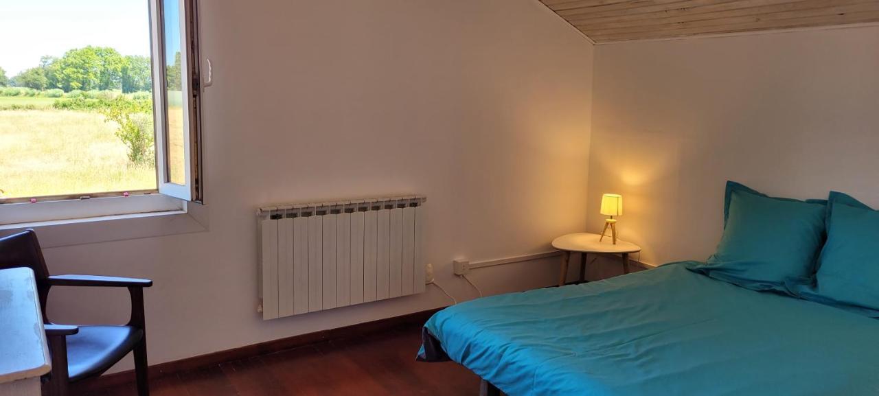 Petite Maison Refaite A Neuf Dans Mas Du 19Eme Siecle 阿爾勒 外观 照片